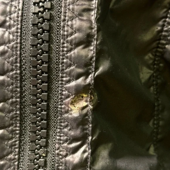 RYU - Picture 3 of 11